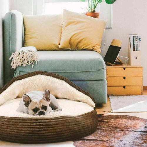 Pet cave snuggly cozy - pet,
